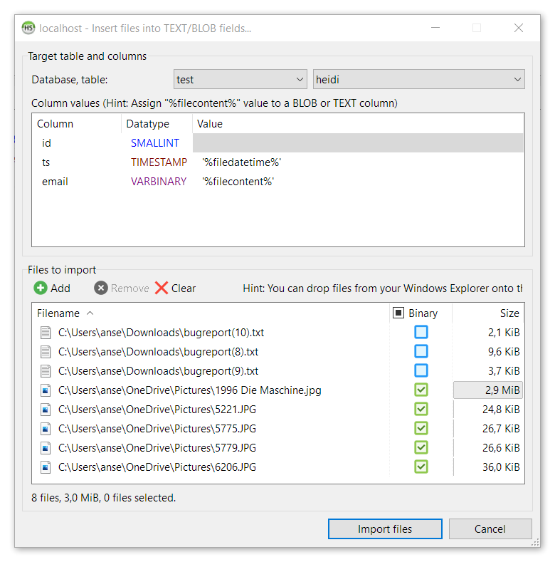 delphi read binary file